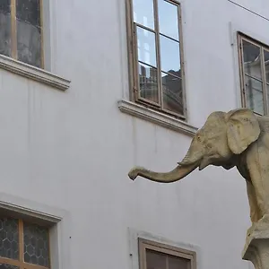 De Lights Apartment Graz